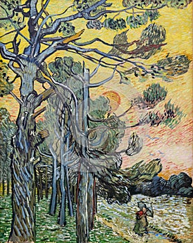 Pine trees at sunset by famous Dutch painter Vincent Van Gogh photo